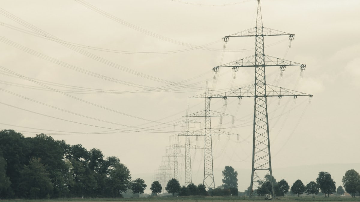 a couple of power lines sitting above a lush green field